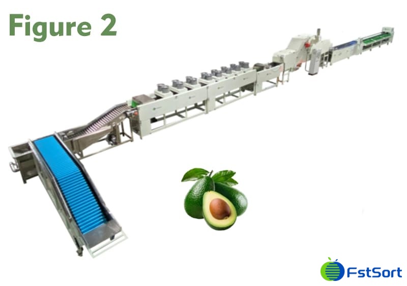 images/1659598772854avocado processing machine.jpg